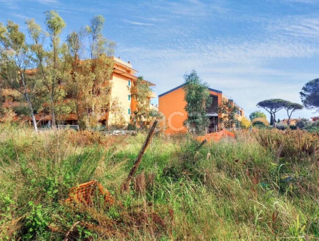 immagine annuncio 8 di 11