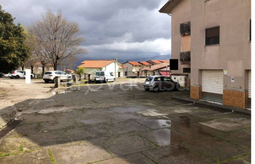immagine annuncio 5 di 11