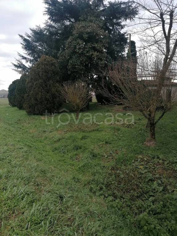 immagine annuncio 4 di 7
