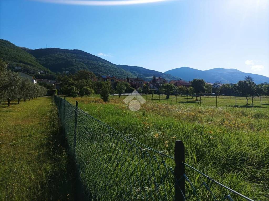 immagine annuncio 4 di 11