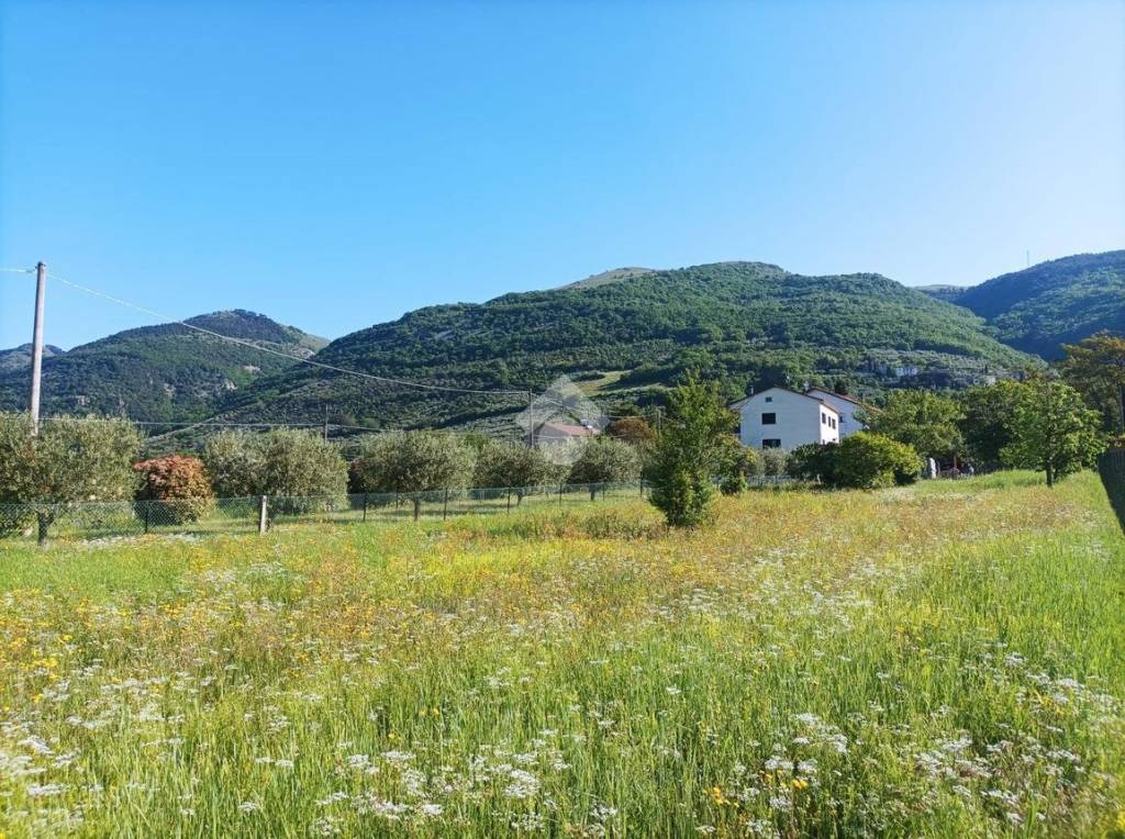 immagine annuncio 6 di 11