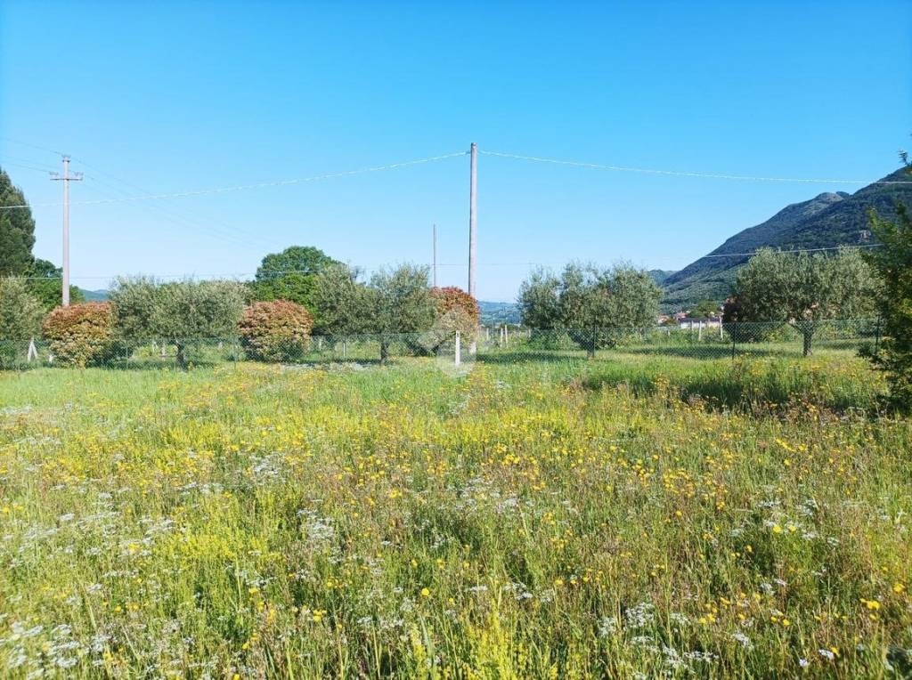 immagine annuncio 7 di 11