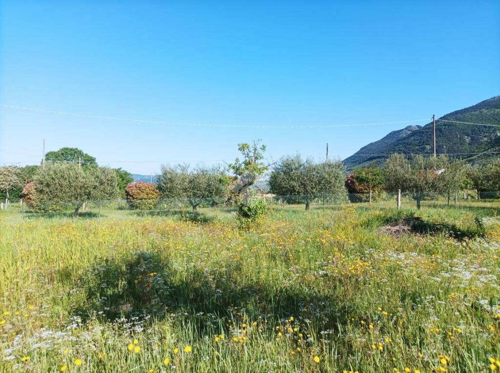 immagine annuncio 8 di 11