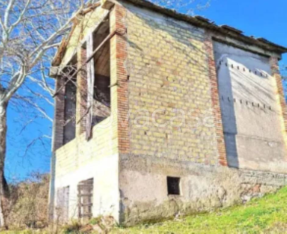immagine annuncio 7 di 11