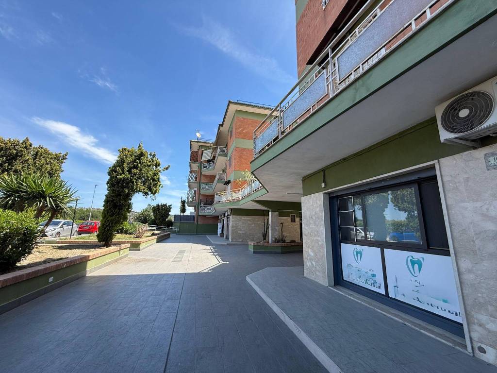 immagine annuncio 1 di 11