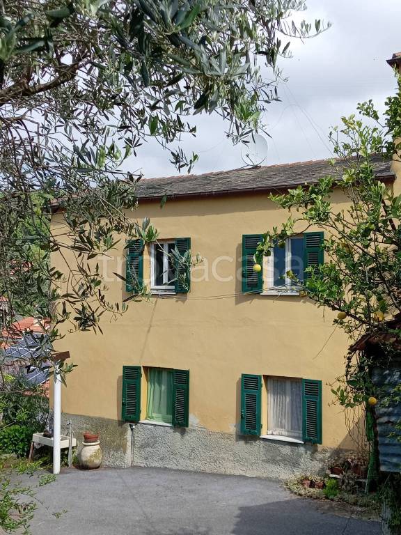 immagine annuncio 2 di 6