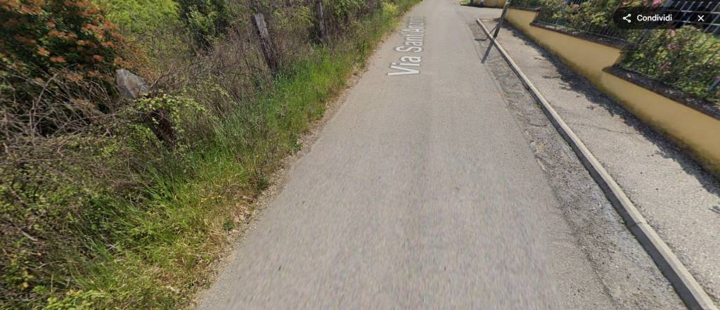 immagine annuncio 7 di 13