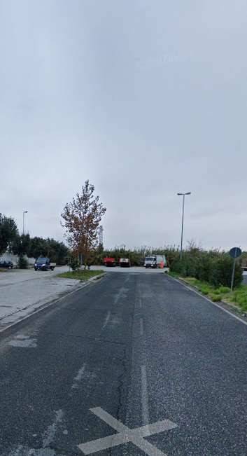 immagine annuncio 6 di 11