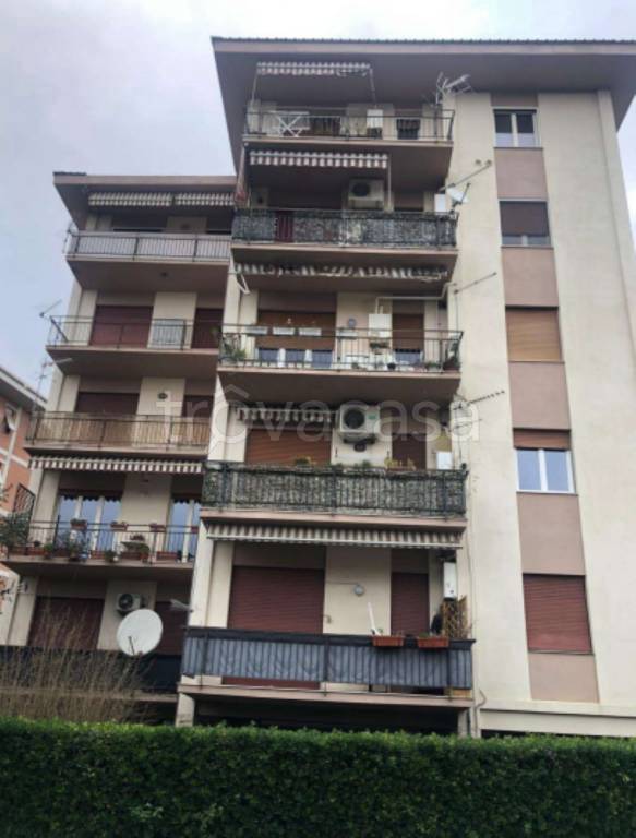 immagine annuncio 2 di 11