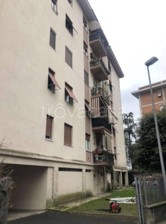 immagine annuncio 3 di 11