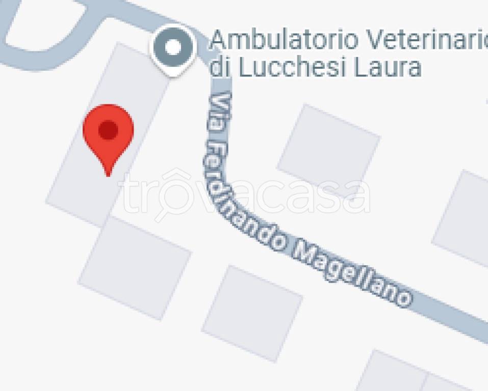 immagine annuncio 9 di 11