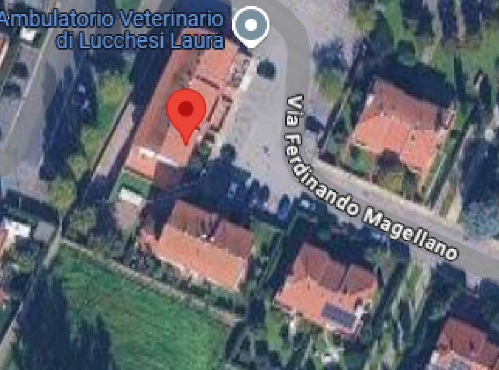 immagine annuncio 10 di 11
