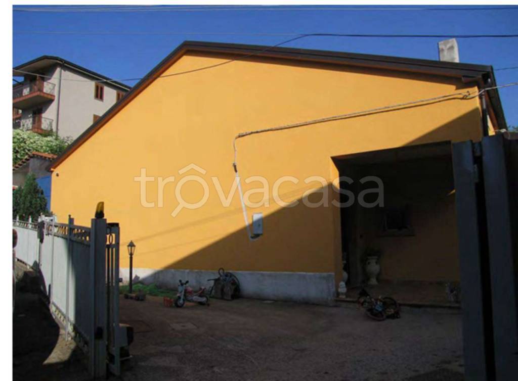 immagine annuncio 6 di 14