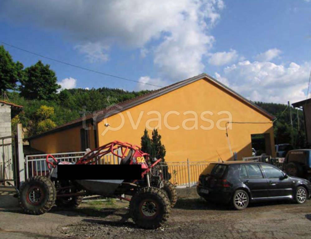 immagine annuncio 8 di 14