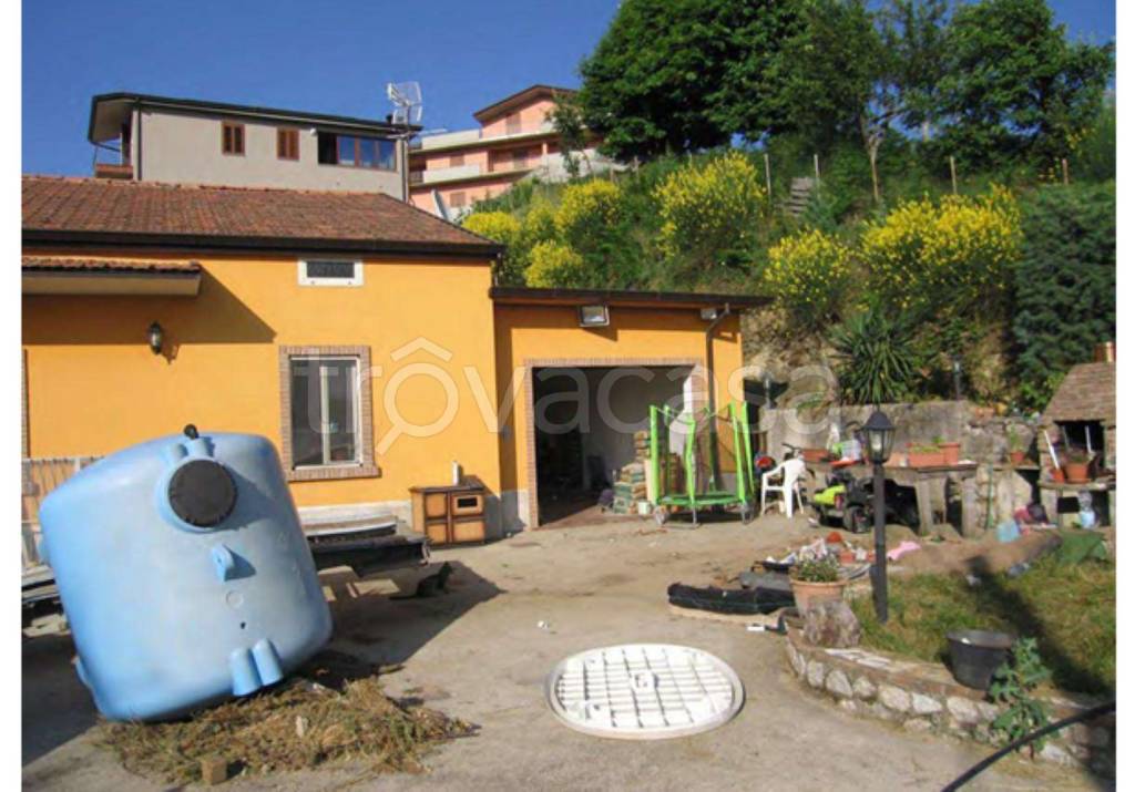 immagine annuncio 12 di 14
