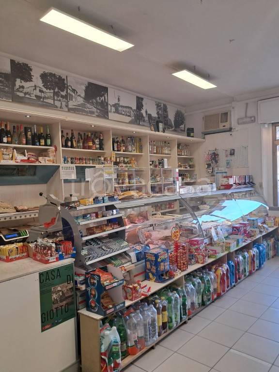 immagine annuncio 5 di 11