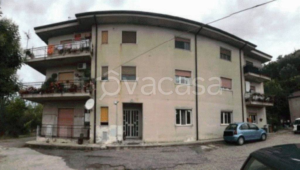 immagine annuncio 2 di 11
