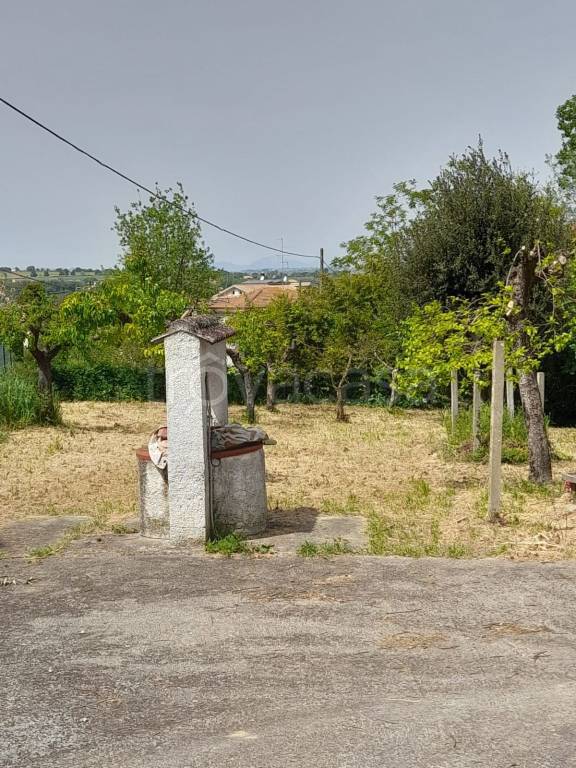 immagine annuncio 7 di 8