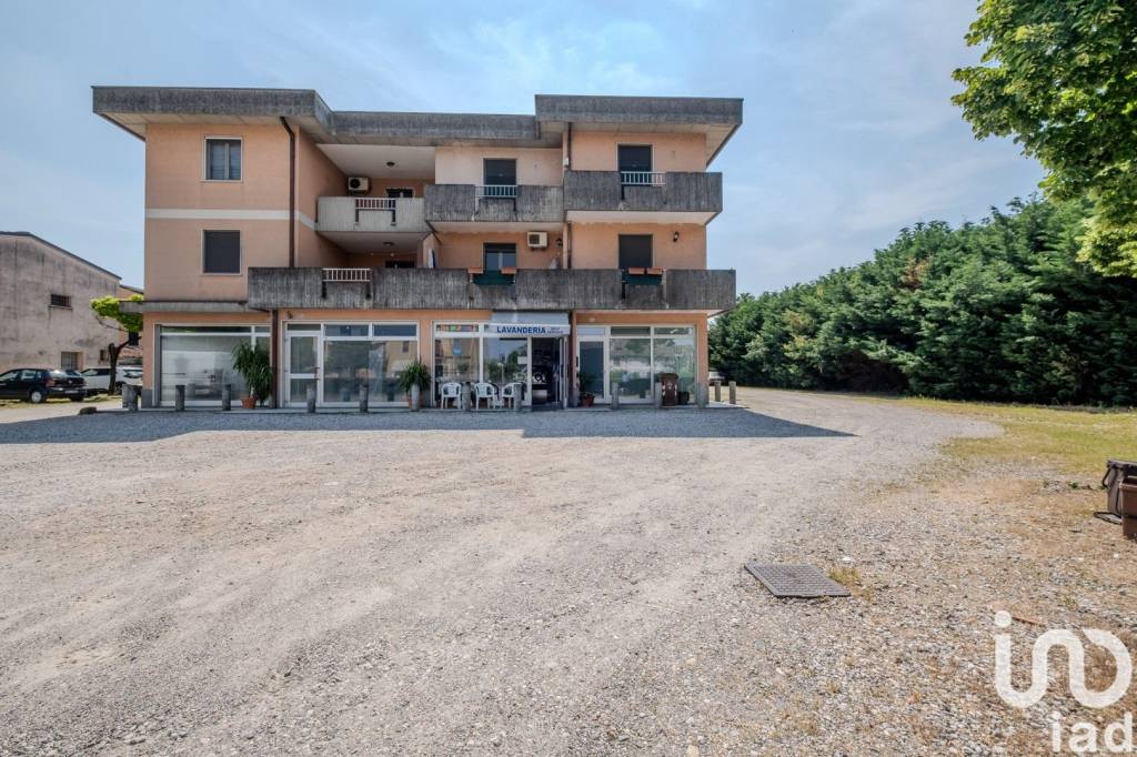 immagine annuncio 4 di 8
