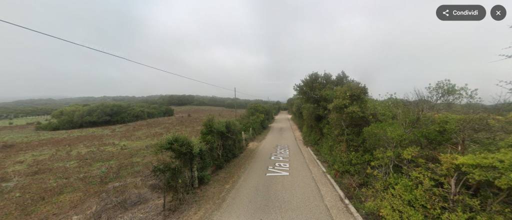 immagine annuncio 12 di 14