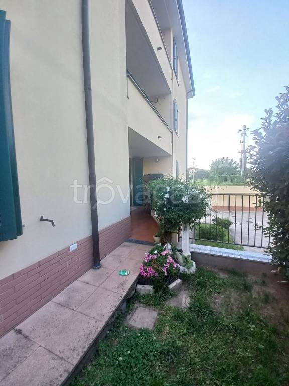 immagine annuncio 7 di 14