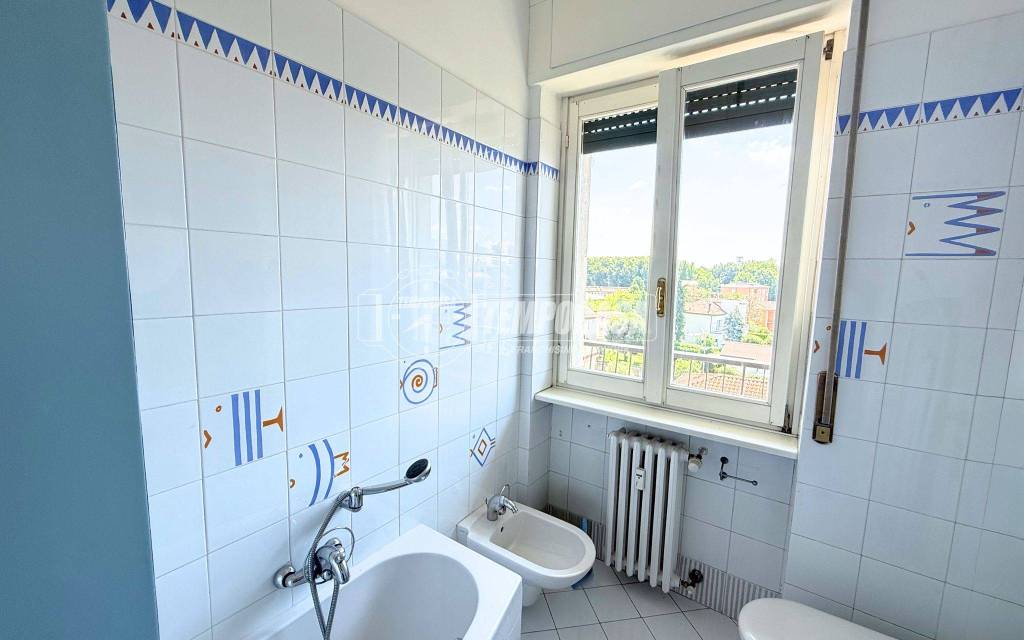 immagine annuncio 6 di 11