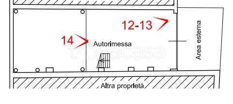 immagine annuncio 12 di 14