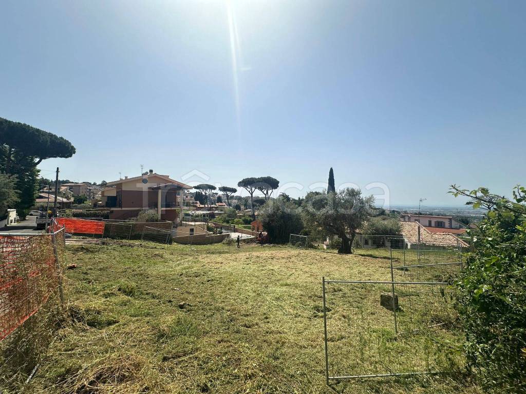 immagine annuncio 5 di 8