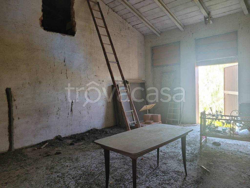immagine annuncio 12 di 14