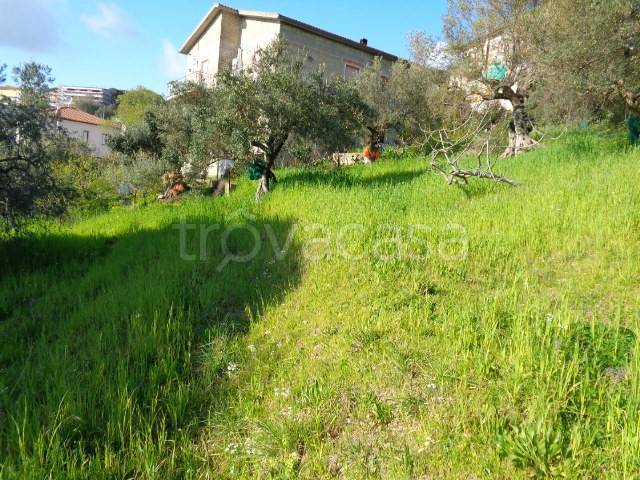 immagine annuncio 6 di 11