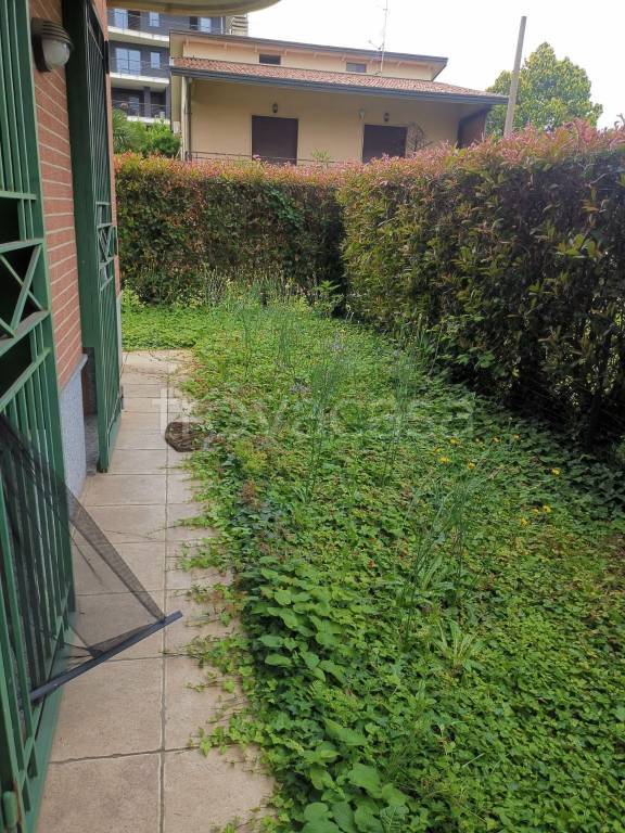 immagine annuncio 4 di 12