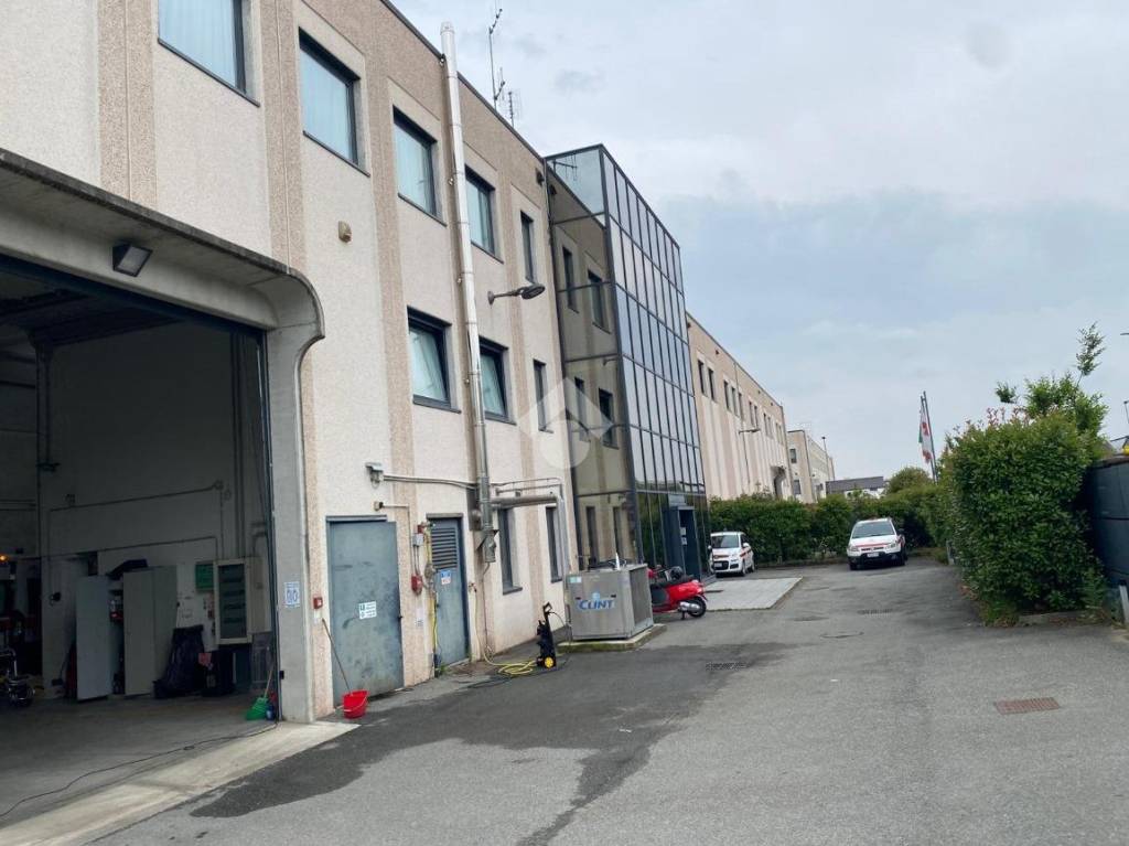 immagine annuncio 3 di 15