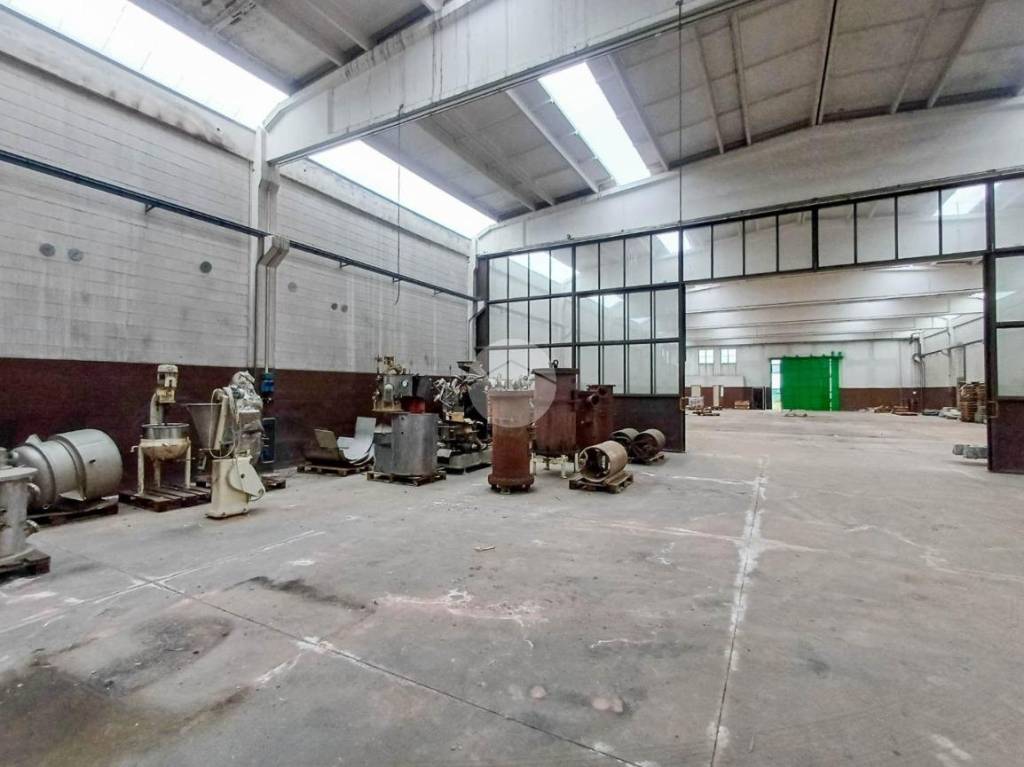 immagine annuncio 7 di 14