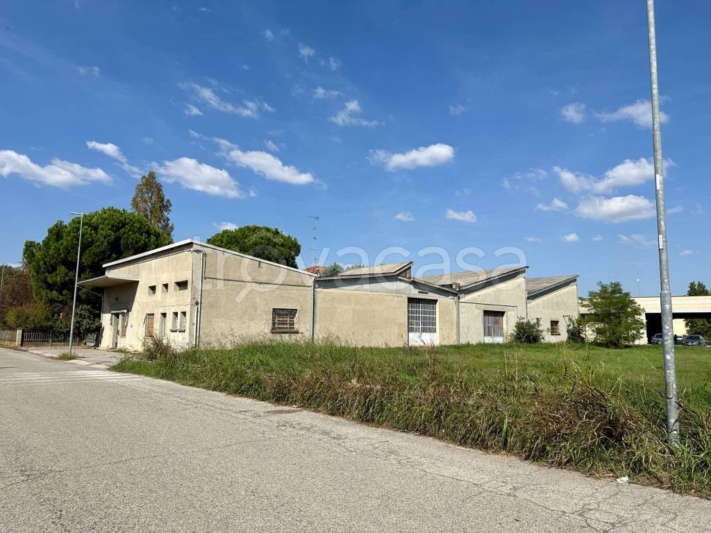 immagine annuncio 2 di 4