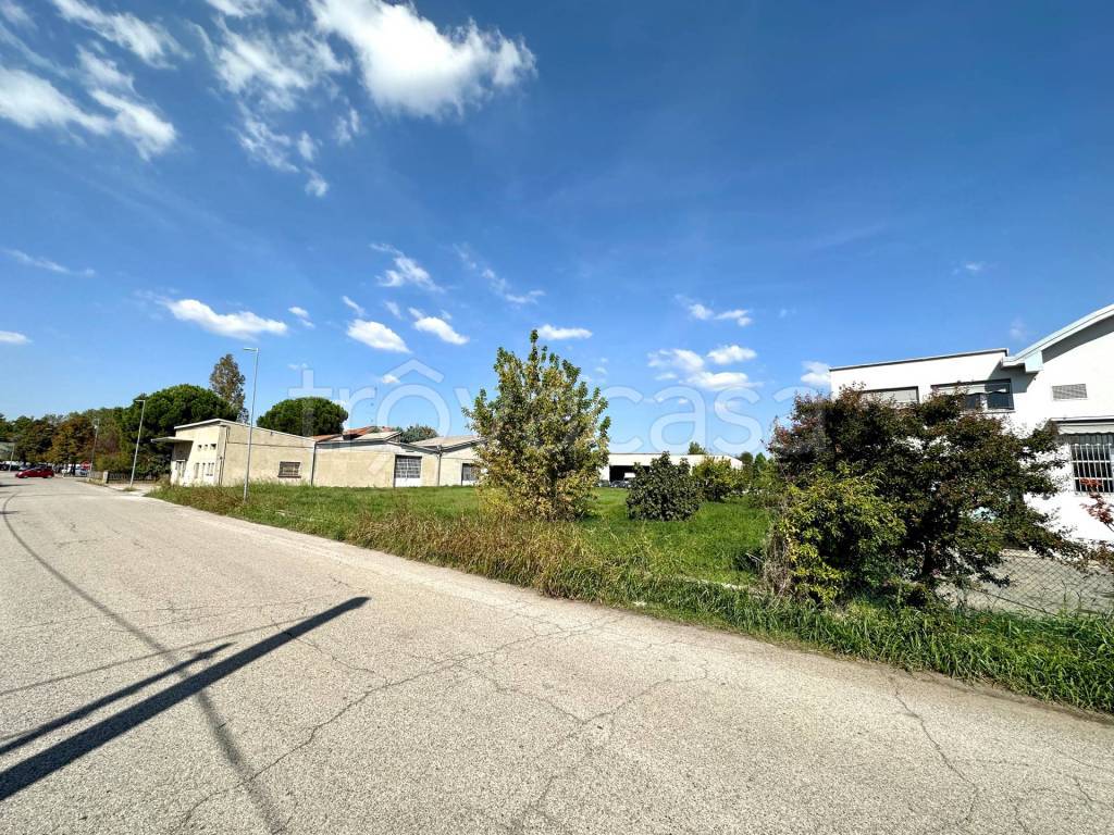 immagine annuncio 3 di 4
