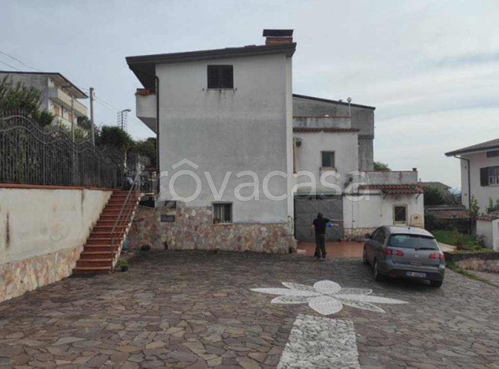 immagine annuncio 3 di 11