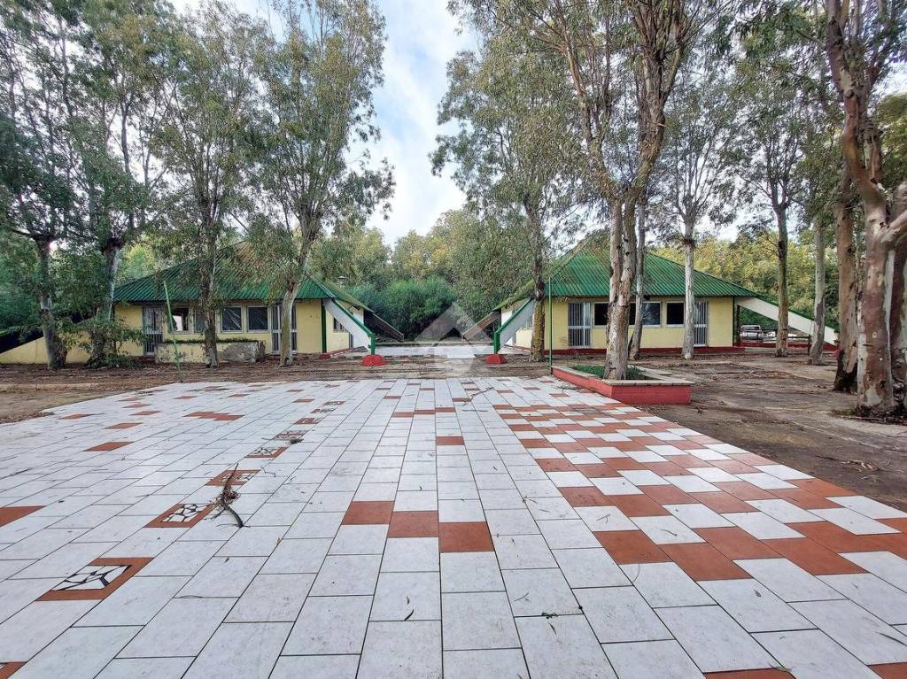 immagine annuncio 1 di 14