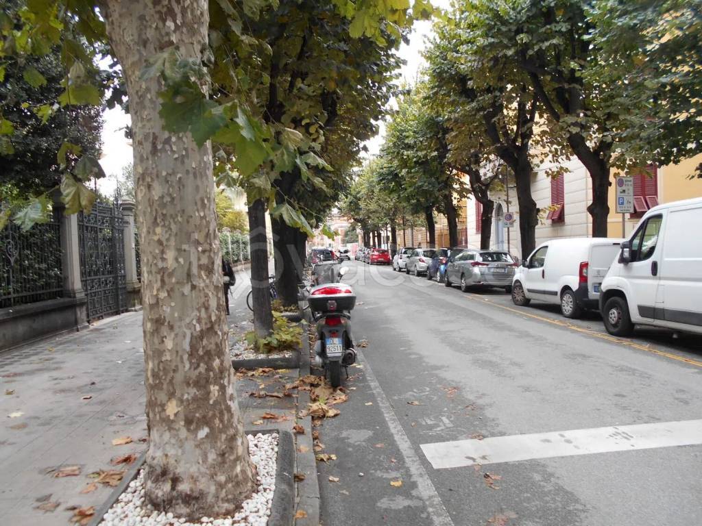 immagine annuncio 8 di 12