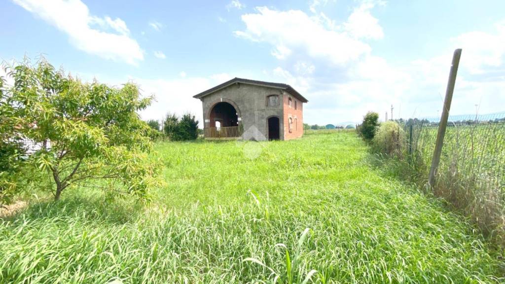 immagine annuncio 2 di 9