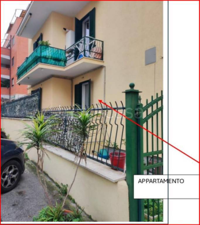 immagine annuncio 2 di 12