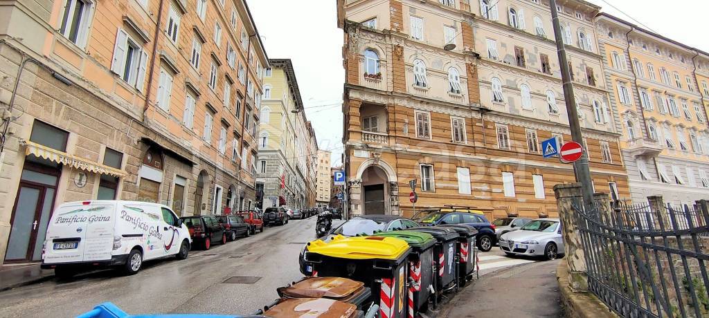 immagine annuncio 11 di 12