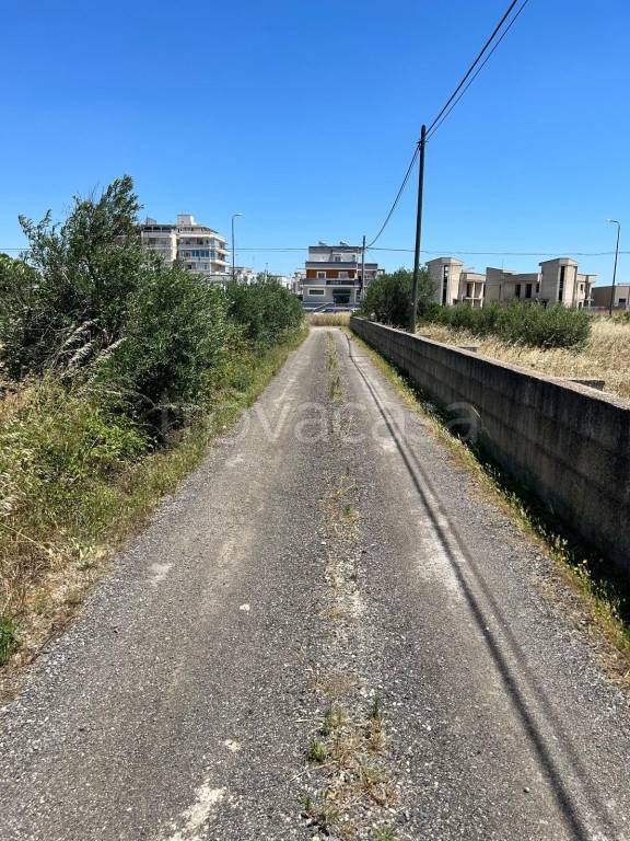 immagine annuncio 6 di 7