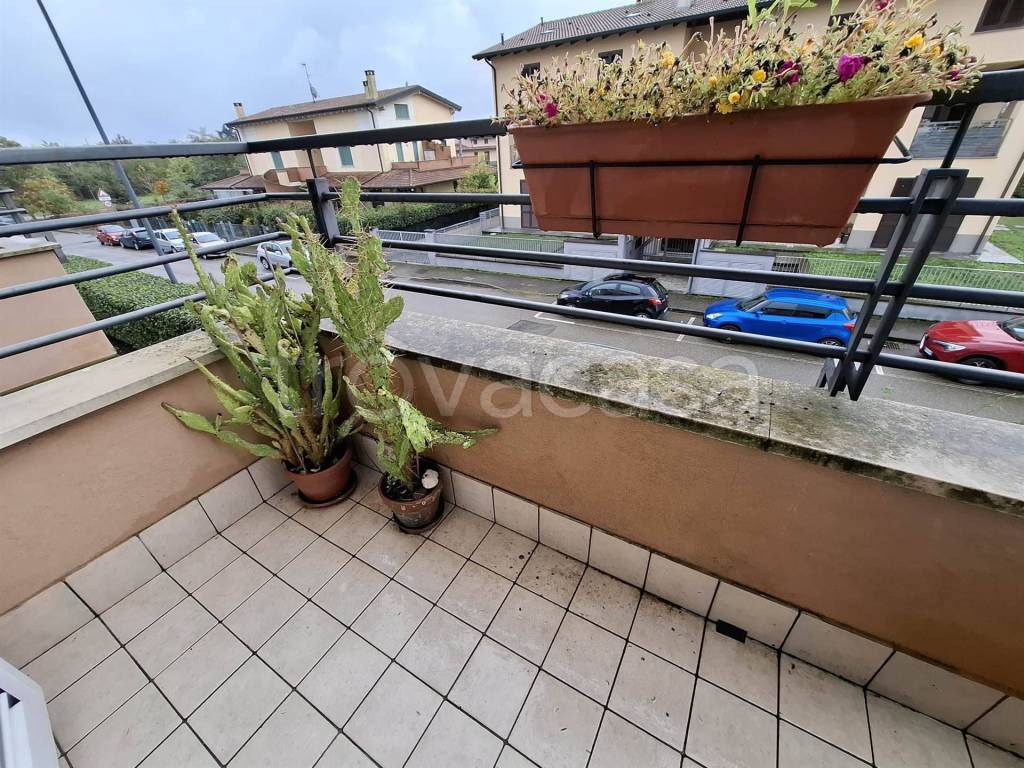 immagine annuncio 6 di 11
