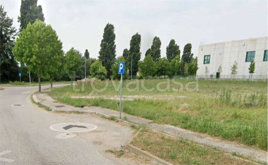 immagine annuncio 1 di 12