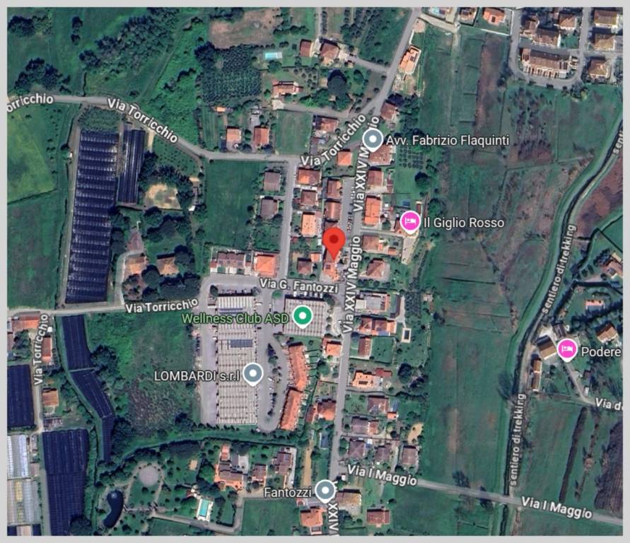 immagine annuncio 12 di 15