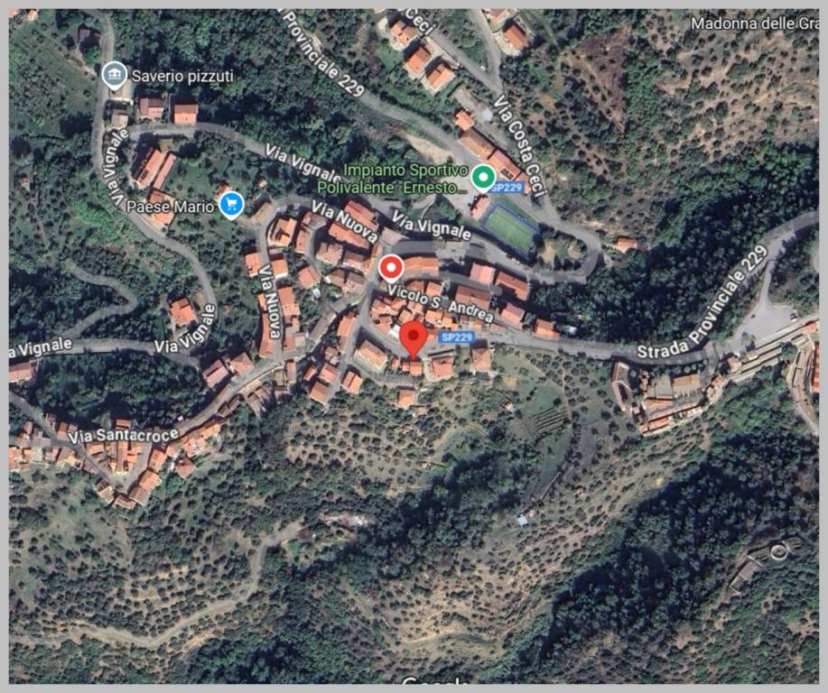 immagine annuncio 14 di 15