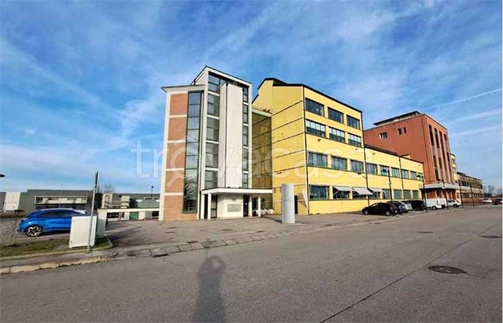 immagine annuncio 3 di 13