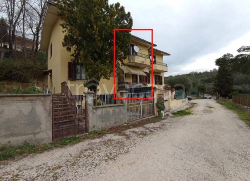 immagine annuncio 11 di 14