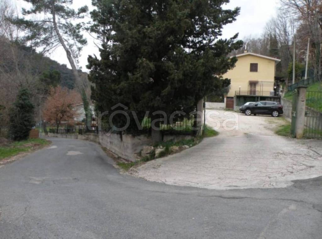 immagine annuncio 12 di 14