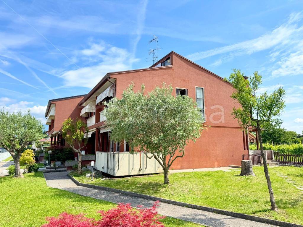 immagine annuncio 1 di 15